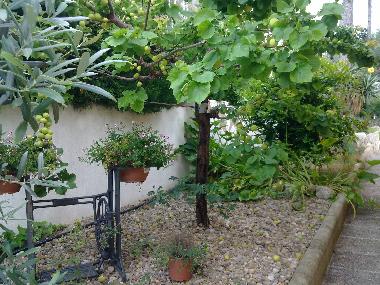 Holiday House in El Vendrell (Tarragona) or holiday homes and vacation rentals