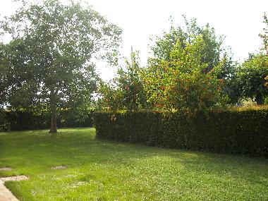 Holiday House in Corpolo