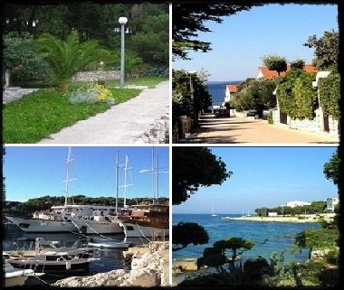 Holiday House in Mandre (Zadarska) or holiday homes and vacation rentals