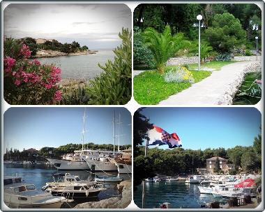 Holiday House in Mandre (Zadarska) or holiday homes and vacation rentals