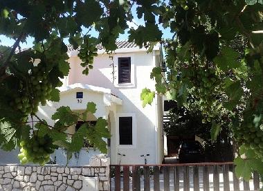 Holiday House in Mandre (Zadarska) or holiday homes and vacation rentals