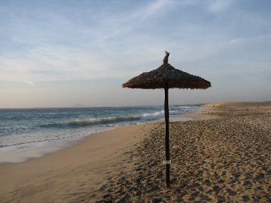 Holiday Apartment in Santa Maria/Sal  (Sal) or holiday homes and vacation rentals