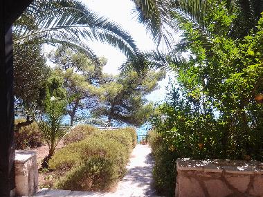 Villa in Ivan Dolac (Splitsko-Dalmatinska) or holiday homes and vacation rentals