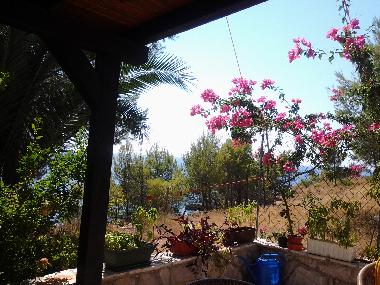 Villa in Ivan Dolac (Splitsko-Dalmatinska) or holiday homes and vacation rentals