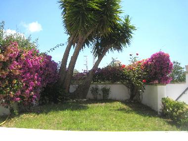 Holiday House in Sant Pere de Ribes (Barcelona) or holiday homes and vacation rentals