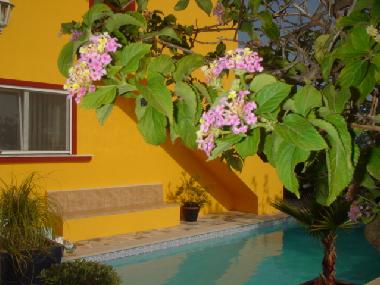 Pool and entrance apartment