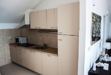 Holiday Apartment in Dubrovnik (Dubrovacko-Neretvanska) or holiday homes and vacation rentals