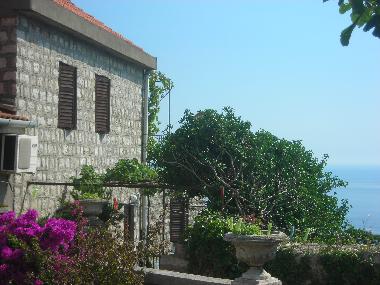 house from the back