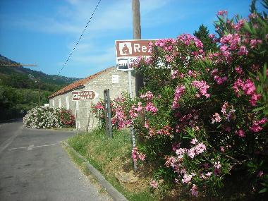 the way to the Monastry Rezevici