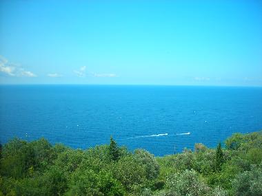 sea view from each part of the house