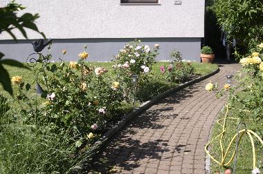 Holiday House in 7142 (Nordburgenland) or holiday homes and vacation rentals