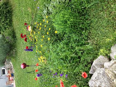 Holiday House in 7142 (Nordburgenland) or holiday homes and vacation rentals
