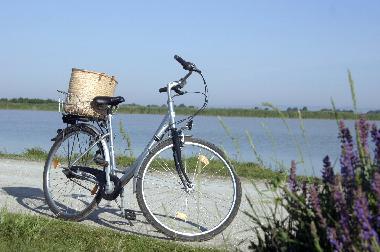 Holiday House in 7142 (Nordburgenland) or holiday homes and vacation rentals