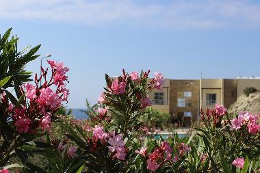 Holiday Apartment in Bacheli (Kyrenia) or holiday homes and vacation rentals