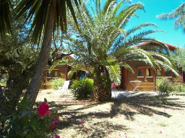 Holiday Apartment in Gythio (Lakonia) or holiday homes and vacation rentals