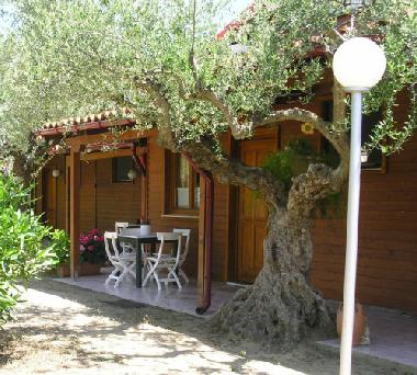 Holiday Apartment in Gythio (Lakonia) or holiday homes and vacation rentals