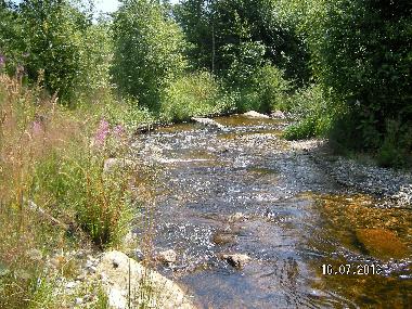 Holiday Apartment in Wei�enstadt (Upper Franconia) or holiday homes and vacation rentals