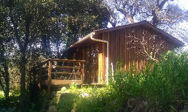 Chalet in Bastelicaccia (Corse-du-Sud) or holiday homes and vacation rentals