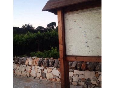 Holiday House in Cisternino  (Brindisi) or holiday homes and vacation rentals