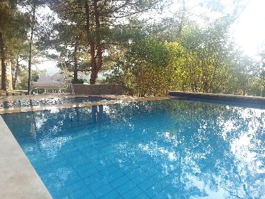 Villa in Kizilagac (Mugla) or holiday homes and vacation rentals