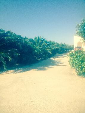 Villa in PAROS (Kyklades) or holiday homes and vacation rentals