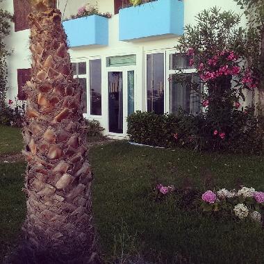 Holiday Apartment in Tetouan (Tetouan) or holiday homes and vacation rentals