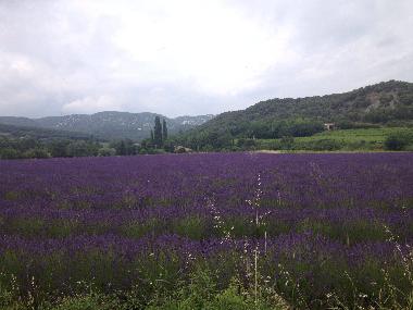 Holiday House in Gras (Ardche) or holiday homes and vacation rentals