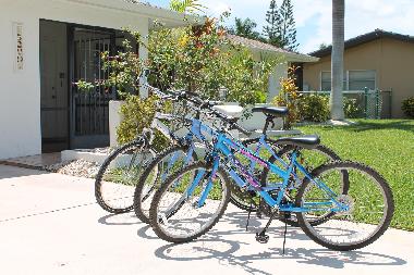 Bikes for your disposal