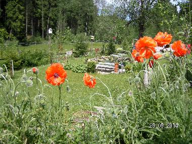 Holiday Apartment in Wei�enstadt (Upper Franconia) or holiday homes and vacation rentals