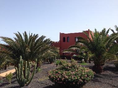 Holiday Apartment in Corralejo (Fuerteventura) or holiday homes and vacation rentals