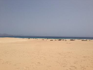 Holiday Apartment in Corralejo (Fuerteventura) or holiday homes and vacation rentals
