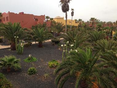 Holiday Apartment in Corralejo (Fuerteventura) or holiday homes and vacation rentals