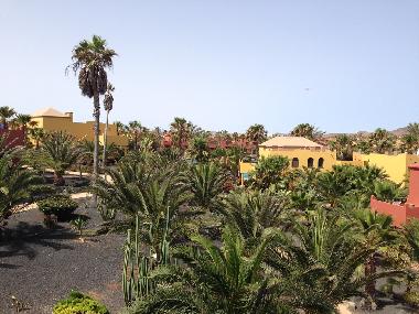 Holiday Apartment in Corralejo (Fuerteventura) or holiday homes and vacation rentals