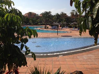 Holiday Apartment in Corralejo (Fuerteventura) or holiday homes and vacation rentals