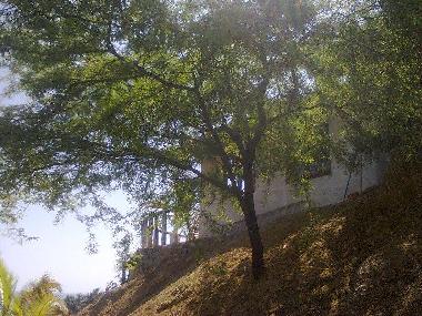 Holiday House in 10000 (Piura) or holiday homes and vacation rentals