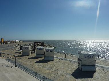 Holiday Apartment in Bsum (Nordsee-Festland) or holiday homes and vacation rentals