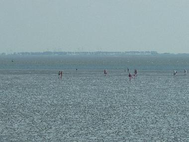 Holiday Apartment in Bsum (Nordsee-Festland) or holiday homes and vacation rentals