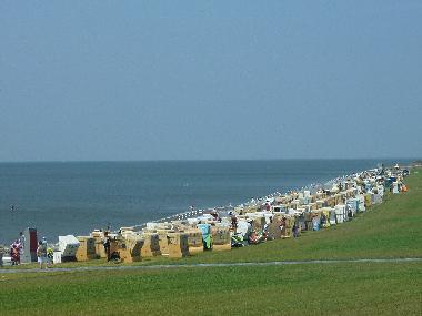 Holiday Apartment in Bsum (Nordsee-Festland) or holiday homes and vacation rentals
