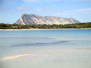 Holiday House in San Teodoro (Olbia-Tempio) or holiday homes and vacation rentals