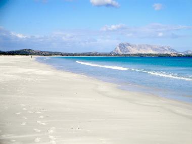 Holiday House in San Teodoro (Olbia-Tempio) or holiday homes and vacation rentals