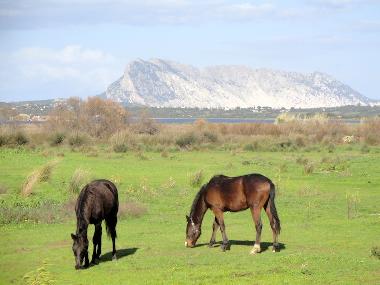 Holiday House in San Teodoro (Olbia-Tempio) or holiday homes and vacation rentals