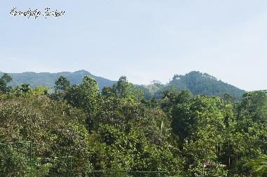 Holiday House in Elkaduwa (Matale) or holiday homes and vacation rentals