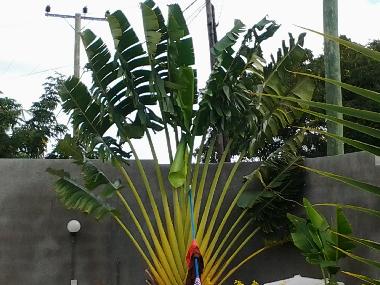 Villa in Calodyne (Pereybere) or holiday homes and vacation rentals