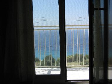 View from one of the bedrooms