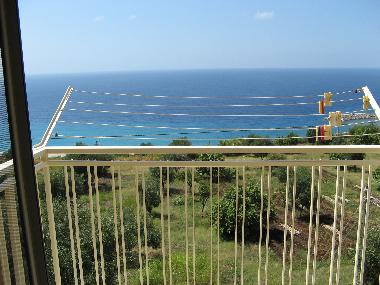 View from the bedroom