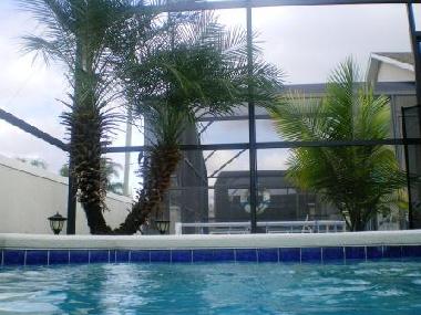 Trees around the pool, offering privacy
