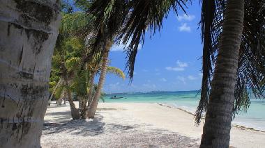 Holiday House in San Andres (San Andres y Providencia) or holiday homes and vacation rentals