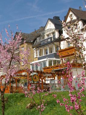 Holiday Apartment in Zell Mosel (Mosel - Saar) or holiday homes and vacation rentals