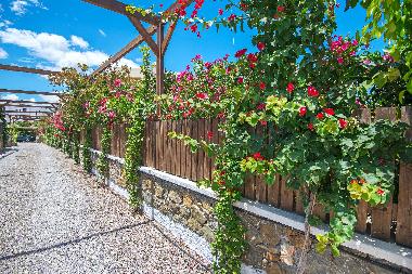 Villa in Rhodes (Dodekanisos) or holiday homes and vacation rentals