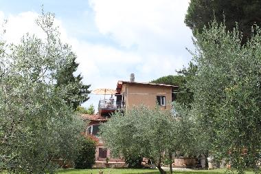 Villa in Grottaferrata (Roma) or holiday homes and vacation rentals